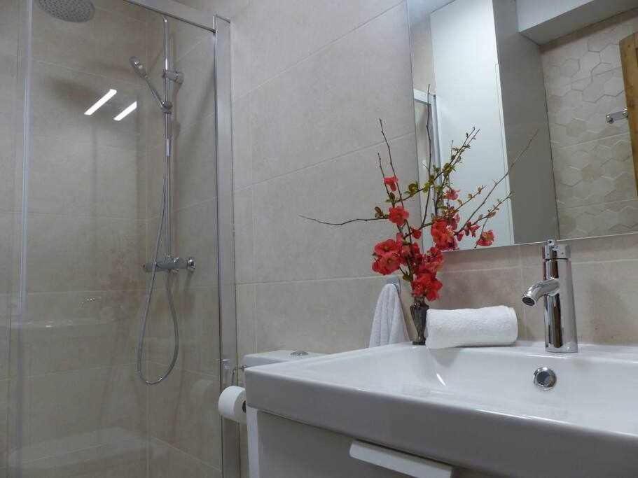 Apartamento Abside De San Juan II Estella Eksteriør bilde